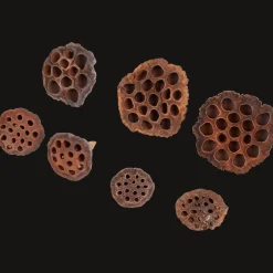 Home Accents natural droogmix