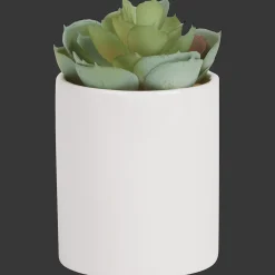 Kunst vetplant in pot