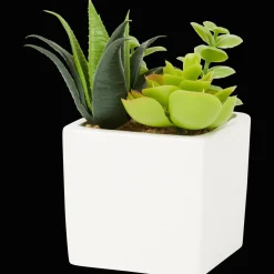 Kunst-vetplant in pot