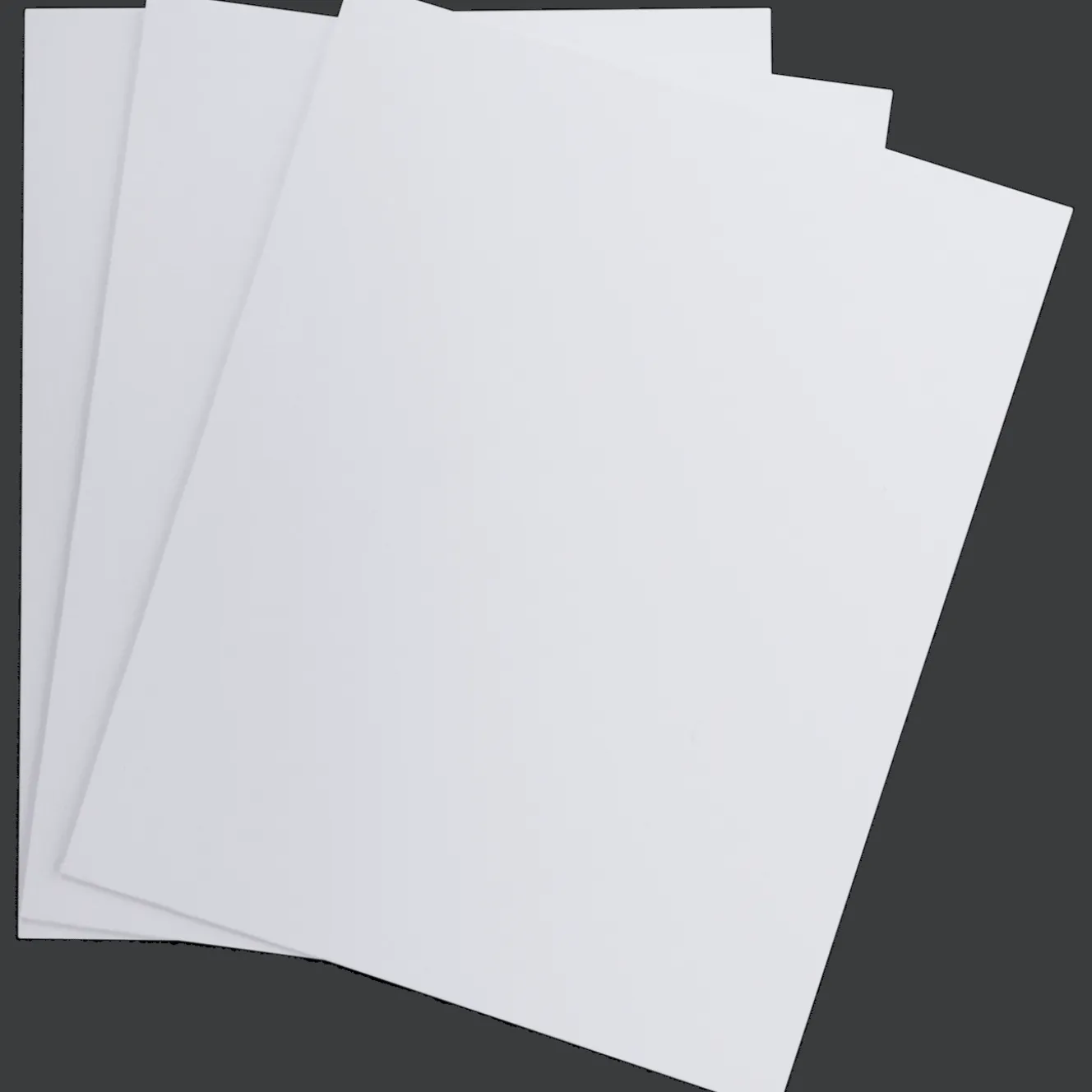 Van Bleiswijck schilderspanelen