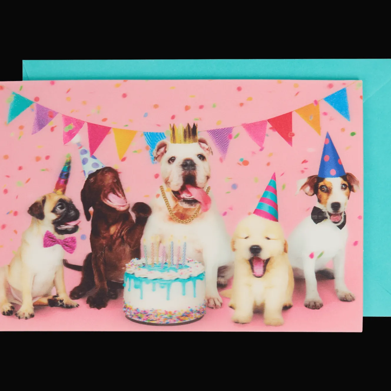 Wenskaart lenticulair met dieren